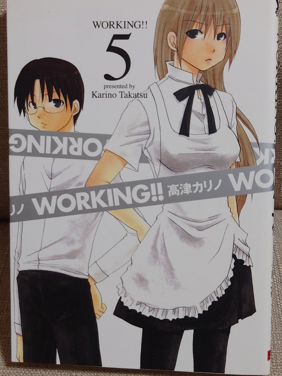 WORKING!! 5 (ヤングガンガンコミックス)