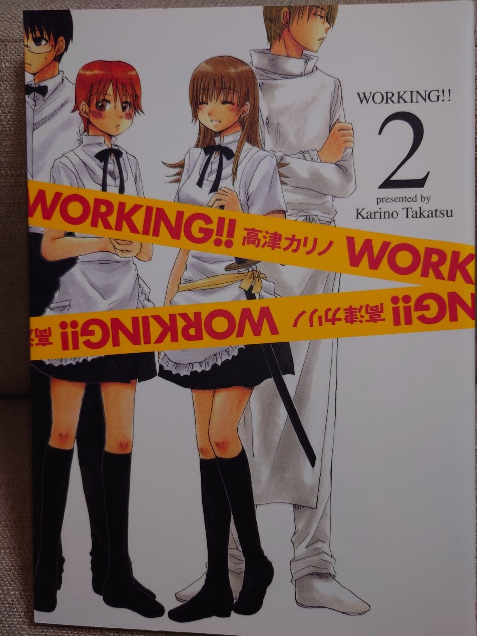 WORKING!! (2) (ヤングガンガンコミックス)