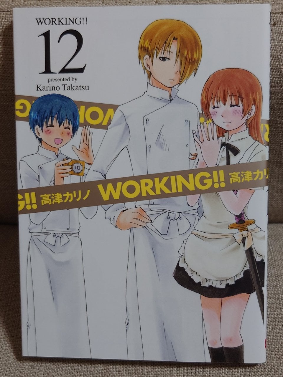 WORKING!! (12) (ヤングガンガンコミックス)