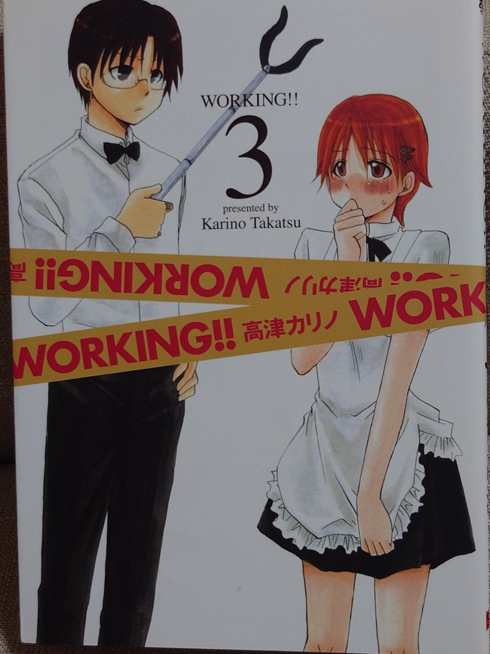 WORKING!! (3) (ヤングガンガンコミックス)